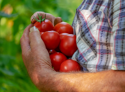 How to Start a Backyard Farm: Tips for Aspiring Growers